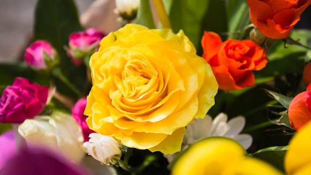 Flowers to give your loved ones this Valentine’s Day