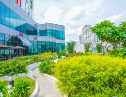 Sensory Garden is a lush garden on top of Gateway Mall 2 in Araneta City.